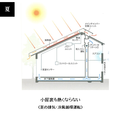 夏